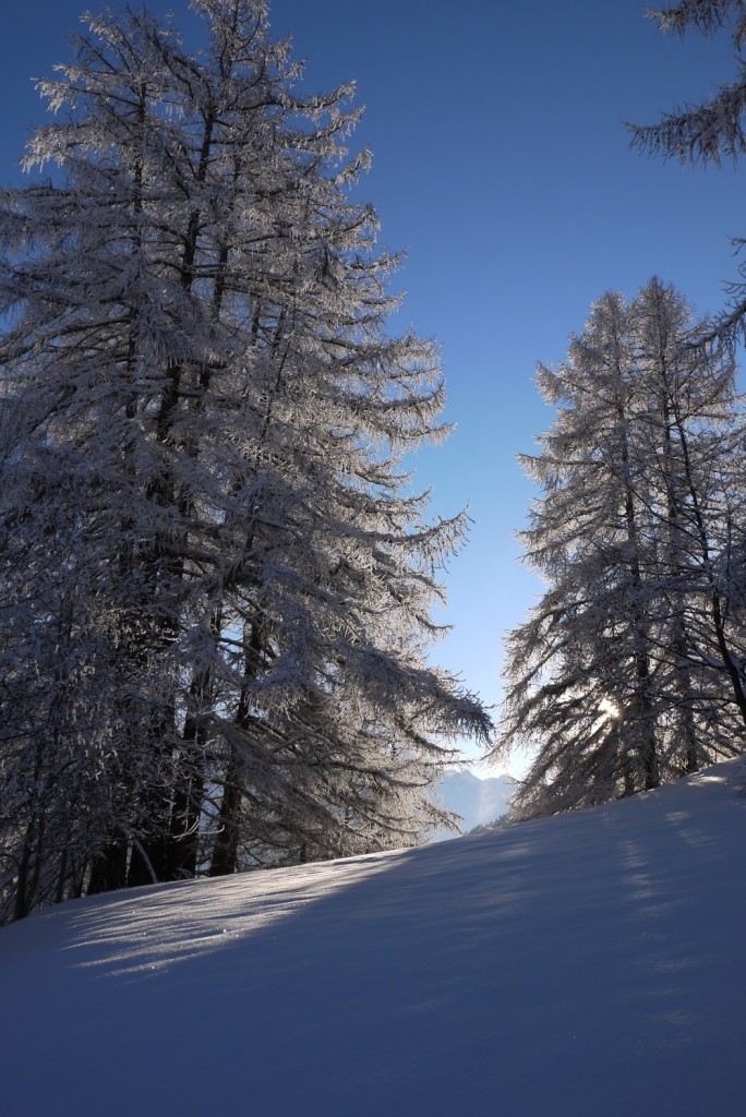 Stage cascade deglace en Oisans